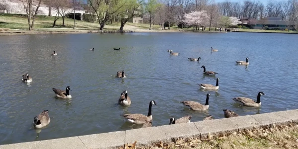 Burrell Behavioral Health