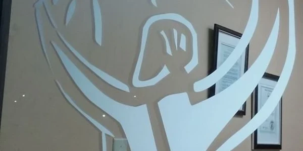 Recovery Outreach Services